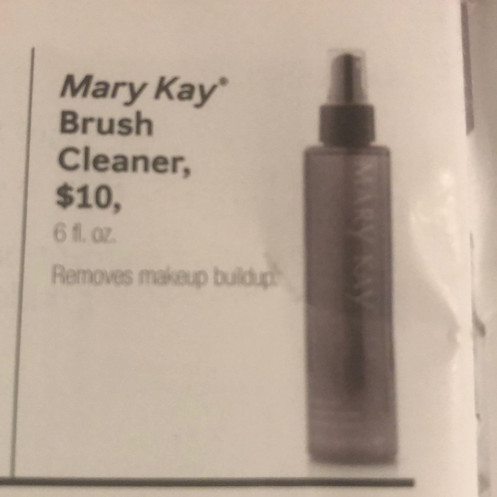 Brush spray cleaner and brush bag